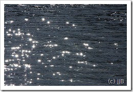 IMG_5509 IMG_5509