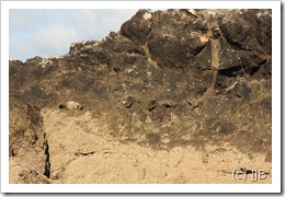 IMG_5647 IMG_5647