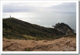 IMG_6284 IMG_6284