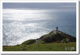 IMG_6330 IMG_6330