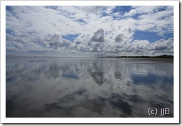 IMG_6558 IMG_6558