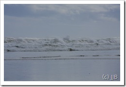 IMG_6580 IMG_6580