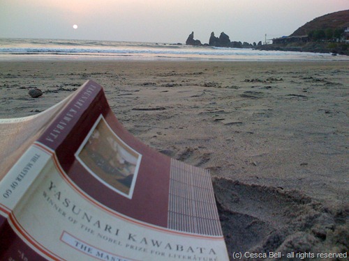 Arambol Beach Arambol Beach