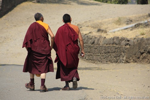 Buddhist Priests Buddhist Priests