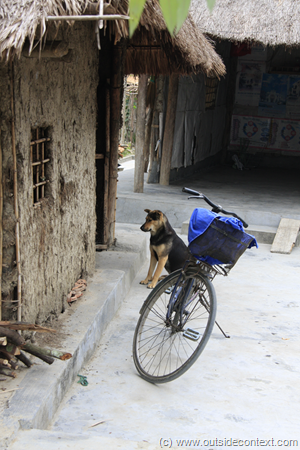 A cute dog in the village A cute dog in the village