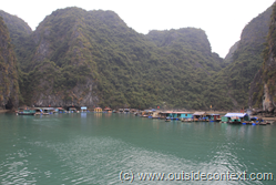 Incredible Incredible